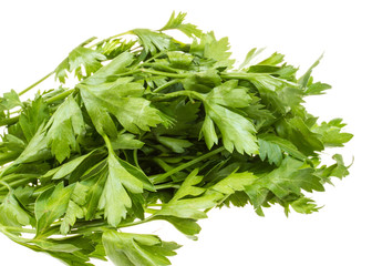 a bunch of parsley on a white background