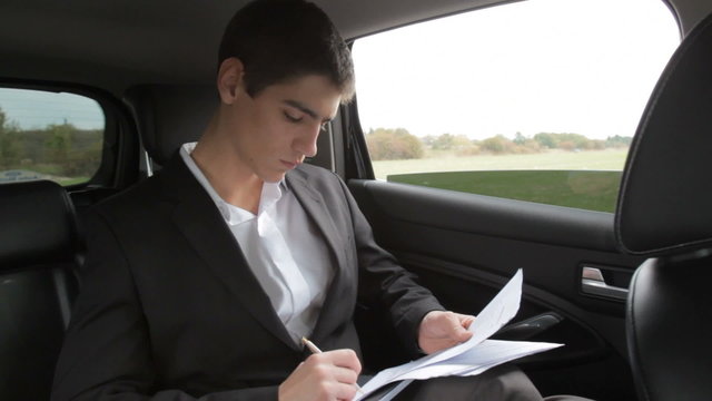 Handsome businessman viewing documents on the back seats of car