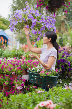 Woman Shopping For Flowers In Garden Center