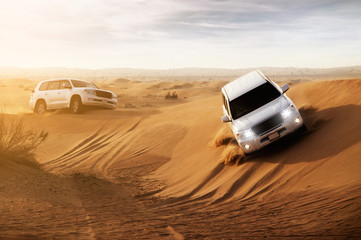 Safari dans un désert