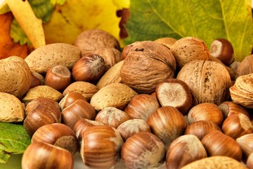 Nuts and autumn leaves