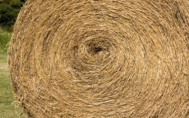 Roll of Straw