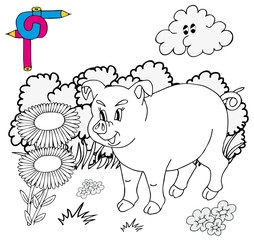 Coloring image pig