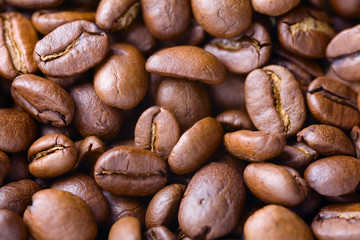 Coffee beans background