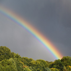 Regenbogen