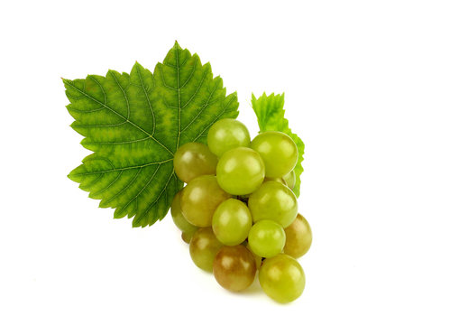 Green grape with leaf