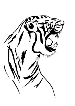 Tiger silhouette in profile