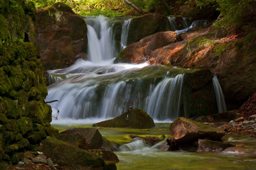 Beautiful forest stream with cascades.