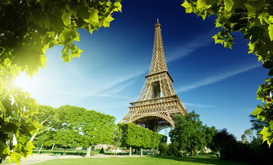 Eiffel tower in Paris, France