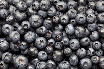 blueberries background