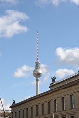 Naklejka premium Berliner Fernsehturm