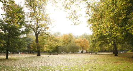 London Autumn Colors