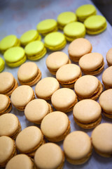 Macaron, g&acirc;teau, biscuit, dessert, p&acirc;tisserie, aliment