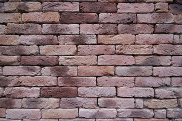 Pink Brick Wall