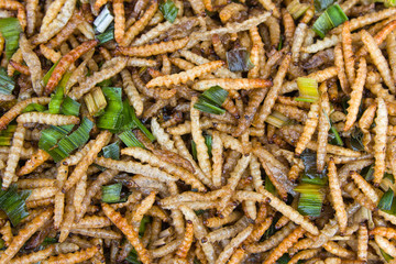 Fried bamboo larvae - national snack in Thailand