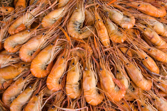 Boiled shrimp