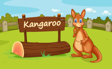 Obraz na płótnie Canvas kangur