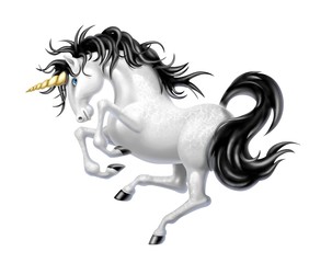 unicorno © Piumadaquila.it