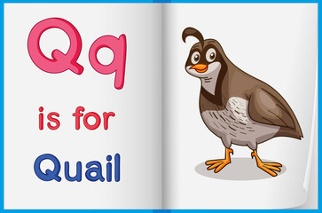 Vocabulary learning sheet