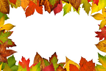 Border of autumn leaves.White isolated