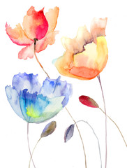 Beautiful summer flowers, watercolor illustration - 46368214