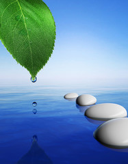 Zen stones in the blue water and green leaf with water drop