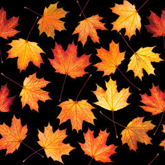 Naklejka na ściany i meble Seamless texture with maple leaves