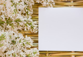 designer background from the twigs of willow and flowers  of lil