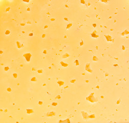 Background of cheese