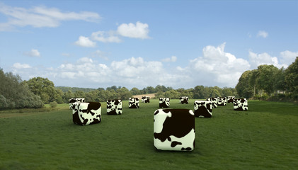 Obraz na płótnie Canvas Cubic cows