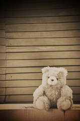 Teddy bear on old wood background