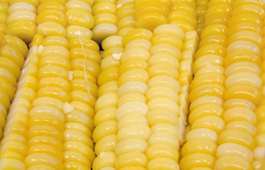 close-up shot of boiled corn background texture