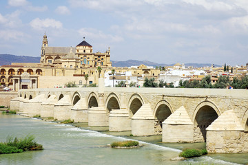 Mezquita Cathedral and Roman Bridge - Cordoba - Spain 