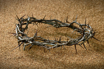 Crown of Thorns on Sand