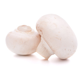 Champignon mushroom