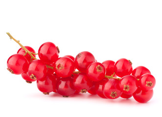 Red currants