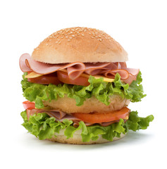 Junk food hamburger