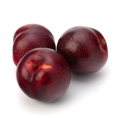 Red plum fruit