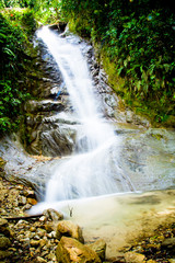 Obraz premium tropical rain forest with waterfall