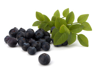 Blue bilberry or whortleberry