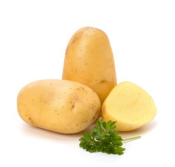 New potato and green parsley