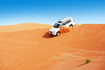 Obraz premium 4 by 4 dune bashing is a popular sport of the Arabian desert