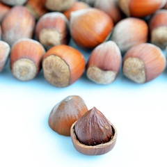 Hazelnuts over a white background