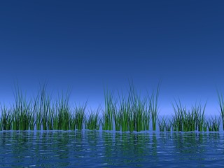Obraz premium Peaceful nature