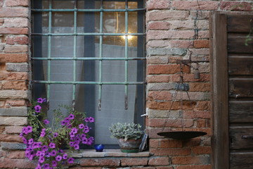 Fototapeta na wymiar zakratowane okno i kwiaty