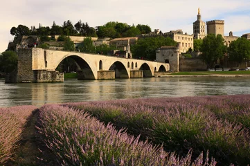 Fotobehang Le pont d'avignon... © Daylight Photo