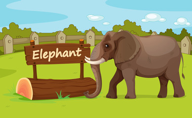 Naklejka premium Zoo animal