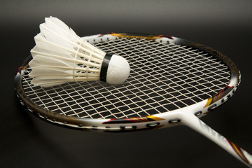 Badminton racket and shuttlecock - 46391661