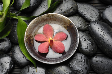 orchid floating in bowl with green leaves on wet stones