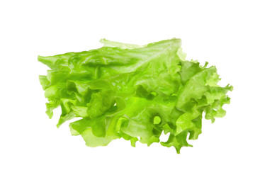 lettuce isolated on white